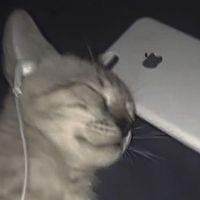diegosmusicc