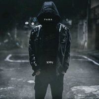pawax404