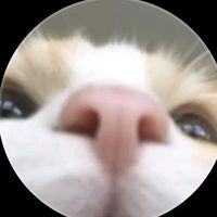 オリジナル楽曲 - minions6697🦋