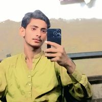 ali.gull55