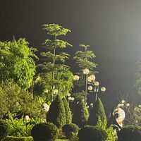 nhạc nền - Nhân Vô Thập Toàn