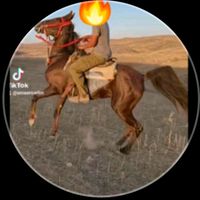 ameerswilm.48