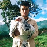 criaderoplumaslibress