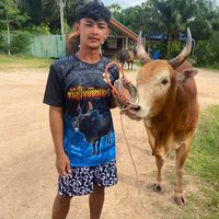 เสียงต้นฉบับ - แบงค์  พัทลุง🕉