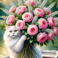 user60722156771110rimma