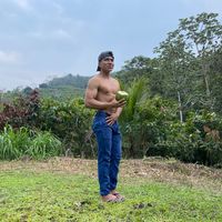brayandiaz484