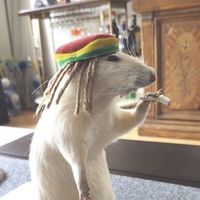 kziinnzzz