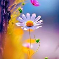 오리지널 사운드 - 중도 정치