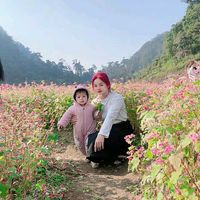 nhạc nền - Hân Bối Bốjj🤔