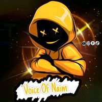 voice.of.naim18