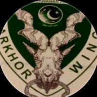 karachi_kings_333