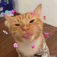 suara asli - ARIAGNESIAA