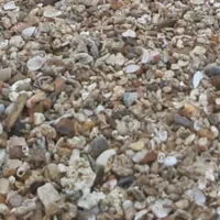 original sound - kazaksw