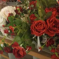 original sound - rosepatel066