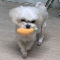 mcy_1217