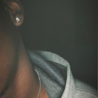 zanethii_