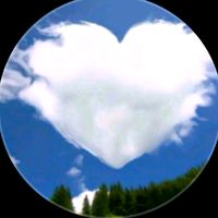 violet_22_11