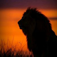 umapessoaqualquer___0