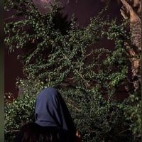 rn_halima