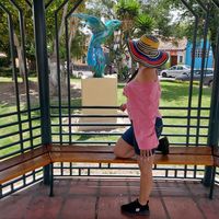 profesita_37