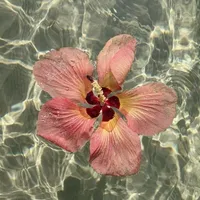 original sound - o.1llx