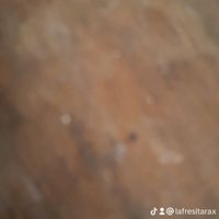 lindarax1