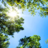 Я пришла к тебе из сказки