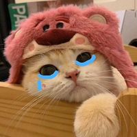 bunyi asal - y a y a n