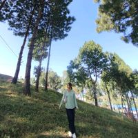 bima..baraghare..mgrx