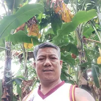 original sound - mikol.dela.torre