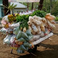 suara asli - @MaZ_PaNk_94