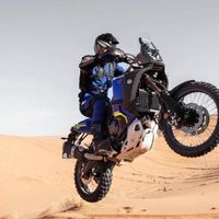 ngathifall_toubamoto1