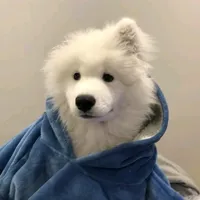 ပြန်လာချိန်လေး...