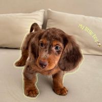 เสียงต้นฉบับ - lamer_520