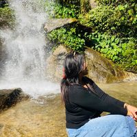 dilulimbu001