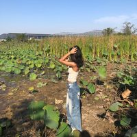 jing.mey142