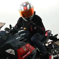 zf_long.2210