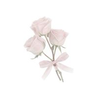 rosia6