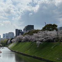 rei__0210_7