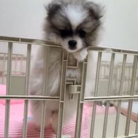 user50571766887225