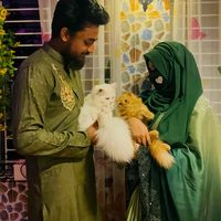 niqabi_panda