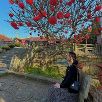 nhạc nền - Hoàng Gấm