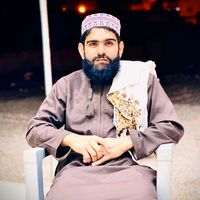 ameerhamza313738
