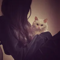 original sound - zakikakapi