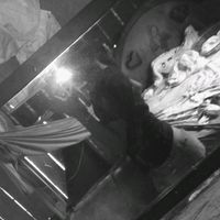 sonido original
