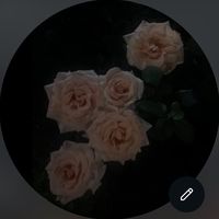 _r078__