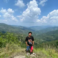 original sound - pawdaam