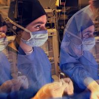 syedanoorkazmidoctor