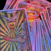 tarolog6663