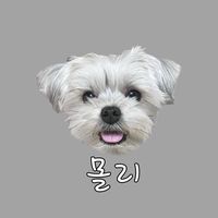 요래댔슴당